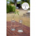 Glass Planter Bulb Bottles Tree of Life & low top Ø 90 mm » Small Greens