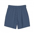 Blue-striped Recycled Men’s Swim Shorts » earlyfish