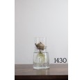 Small-Greens Glass Planter Bulb Vases Ø 13 cm with low top