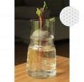 Glass Planter Bulb Vases with low top & Flower of Life Ø 130 mm from Small-Greens