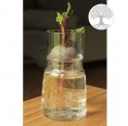 Small Greens Glass Planter Bulb Bottles Tree of Life & low top Ø 130 mm