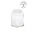 Glass germinators Ø 130 mm Tree of Life without top » Small Greens