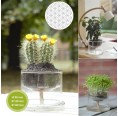 Small Greens self-watering Glass Planters Flower of Life - 3 diameter available