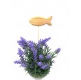 Olive Wood Flower Plugs, Fish 2 » D.O.M.