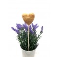Olive Wood Plant Plugs, Heart 3D » D.O.M.