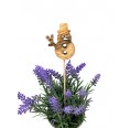 Olive Wood Flower Plugs, Snowman » D.O.M.