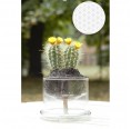 Small Greens self-watering Glass Planters Flower of Life Ø 130 mm