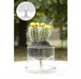 Self-Watering Glass Pot Tree of Life Ø 130 mm » Small Greens