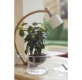 Self-Watering Glass Pots Basic Ø 160 mm » Small Greens