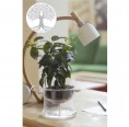 Small Greens - Self-Watering Glass Planters Tree of Life Ø 160 mm