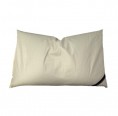 Organic Buckwheat Pillow