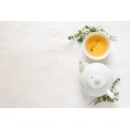 wiv® Maxi Coffee & Tea water fiilter for household » BBB Wasserprofis