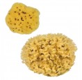 Natural Sponges - Bath Sponges for sensitive skin | Croll & Denecke
