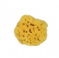 Croll & Denecke - Natural Sponges Bath Sponges