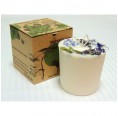 Eco soy wax candle Lavender | Candle.lv