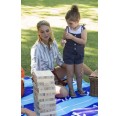 Eco wooden toy wobbling party game | EverEarth