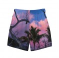 Pink Sundown Recycled Men’s Swim Shorts » earlyfish
