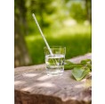 Nature's Design Drinking Straw CALAMUS of lead-free glass
