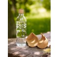 Lagoena Glass Bottle 0.5 l with natural cork shell by Nature's Design