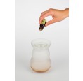 Incense Burner Lucerna with tea light holder by Nature's Design