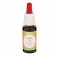 AniCanis Natural Dog Ear Cleaner » naftie