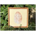 Fine Art Pieces Leaf - picture with leaf imprint natural