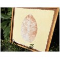 Sundara Paper Art Fine Art Pieces Leaf