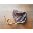 Baby Bonnet Elder - plantal overdyed organic cotton | Ulalue