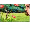 German picture book - A royal dragonfly in Nele's garden