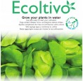 Blond Lettuce smooth leaf Hydroponics Planting Set | Ecoltivo