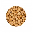 Organic Hazelnuts Roasted 5kg Bulk | Landgarten