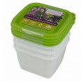 Greenline deep-freeze food container 0.5 l 4-part | Gies