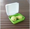 Gies greenline Storage Container & Lunchbox, Green PE