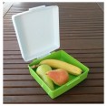 Gies ecoline Storage Container & Lunchbox, Green PE