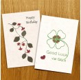 Sundara Paper Art - Fairtrade Greeting Cards