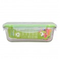 Dora's Food Storage Container made of glass