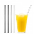 Glass Drinking Straws 20 cm straight, 4part Set | Halm
