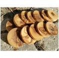 Olive wood discs for crafting round branch slices » D.O.M.