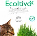 Cat Grass Hydroponics Planting Set Smart Garden | Ecoltivo