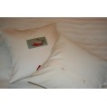 Pillow slip Piranha 40x40 cm organic cotton satin | iaio