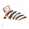 naftie Natural Whole Deer Antler Chew for Dogs