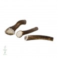 Natural Chew Bone for Dogs Whole Deer Antler » naftie
