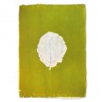 Wandposter Leaf Grün | Sundara Paper Art