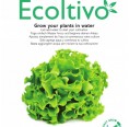 Lettuce Ricciolina Salad Indoor Growing | Ecoltivo
