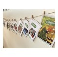 Organic Seeds Advents Calendar » Dillmann