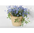 Sprout Plantable Pencil - Forget me not