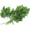 Herb Garden Seeds-Box S Bio 6 Sorts organic parsley | Dillmann
