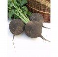 Medieval Vegetable Seeds-Box S Bio certified organic | Dillmann
