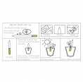 Sprout Pencil Gift Flyer with Organic Seeds