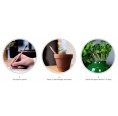 Sprout: Draw & Plant for a greener future